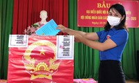 Bỏ phiếu thực hiện quyền công dân