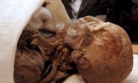 Displaying mummies for 3,000 years, sparking fear of unleashing the curse of the Pharaohs
