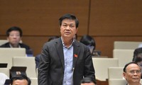 Đại biểu Đỗ Ngọc Thịnh (Chủ tịch Liên đoàn Luật sư Việt Nam)