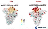 Công bố hình ảnh so sánh biến thể &apos;siêu đột biến&apos; Omicron với Delta