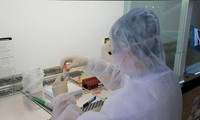 Bệnh nhân COVID-19 ở Hà Nội, Hải Dương mang biến chủng virus Anh và Ấn Độ