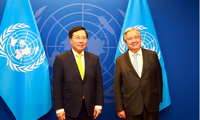 Phó Thủ tướng Phạm Bình Minh trong cuộc gặp Tổng Thư ký Liên Hợp Quốc Antonio Gueterres. (Ảnh: VGP)