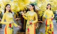 Top 5 Người đẹp Biển HHVN 2020 khoe đường cong quyến rũ với áo dài