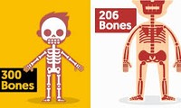 1001 thắc mắc: Kỳ lạ vì sao em bé lắm xương hơn người lớn?