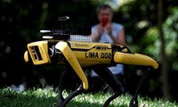 Vào ngày 8 tháng 5, một chú chó robot SPOT đã được đặt trong một công viên ở Singapore. Ảnh: Reuters