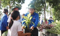 Tuổi trẻ Nghệ An, Hà Tĩnh tưng bừng các hoạt động tình nguyện vì văn minh đô thị