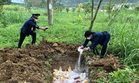 Nghệ An: Vi phạm quy định vệ sinh an toàn thực phẩm bị phạt hơn 3 tỷ đồng