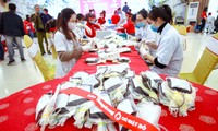 &apos;Chủ nhật Đỏ&apos; ở Nghệ An tiếp nhận đơn vị máu vượt 145% so với kế hoạch