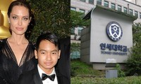 Angelina Jolie đưa con trai Maddox nhập trường đại học ở Hàn Quốc