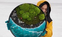 Nữ nghệ sĩ làm tranh tường độc đáo từ cây cỏ thiên nhiên 