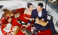 Cặp đôi chụp ảnh cưới độc đáo cùng dàn chó mèo ‘cưng xỉu’ 