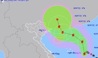 Ảnh hưởng bão số 1, Bắc Bộ và Thanh Hóa, Nghệ An có nơi mưa rất to