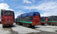 Tổng cục Hải quan cho biết sẽ đấu giá 100 xe tải vô chủ đang ở cửa khẩu Kim Thành, Lào Cai