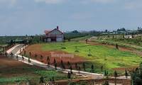 Dự án "ma" trên diện tích đồi 36 ha ở thôn 14, xã Đam B’ri