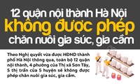 12 quận nội thành Hà Nội không được phép chăn nuôi gia súc, gia cầm