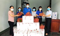 Tuổi trẻ Lâm Đồng hỗ trợ tiêu thụ vải thiều cho nông dân Bắc Giang
