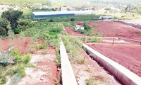 Một lô đất nông nghiệp bị phân lô bán nền ở Phường 7, Đầ Lạt