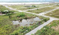 Khu đô thị gần 100ha &apos;đất vàng&apos; ở Quảng Ninh bỏ hoang, cỏ mọc um tùm