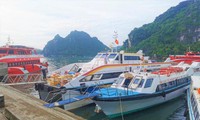 Quảng Ninh, Lạng Sơn khẩn cấp ứng phó bão số 1