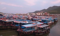 Hàng trăm tàu cá Khánh Hoà vào bờ neo đậu tránh bão số 5