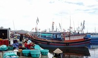 Cảng cá Đông Hải. Ảnh Báo Ninh Thuận.