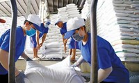 Gạo Thái Lan &apos;soán ngôi&apos; bán giá cao nhất thế giới của Việt Nam