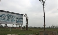 Một dự án bỏ hoang tại huyện Mê Linh, Hà Nội. Ảnh: Duy Phạm 