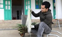 “Nông dân” Nguyễn Văn Hạnh, Giám đốc HTX Nông sản Hạnh Phúc bên những sợi dứa được tách ra từ lá dứa