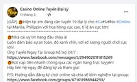 Đường dây đưa người Việt sang Phillippines làm đại lý điều khiển mạng lưới có đúng như quảng cáo?