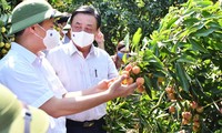 Bộ trưởng Lê Minh Hoan cho biết, trong biến cố do dịch bệnh, có những cái phải tư duy lại cho cả ngành nông nghiệp Ảnh: Văn Giang 