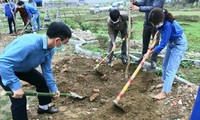 Đoàn viên thanh niên Thanh Hóa trồng cây tại xã Cẩm Quý, huyện Cẩm Thủy 