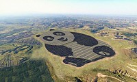 Nhà máy năng lượng Mặt Trời hình gấu trúc được xây dựng ở Đại Đồng, tỉnh Sơn Tây, Trung Quốc. Ảnh: Panda Green Energy.