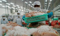 Anh nhập khẩu cá tra Việt Nam tăng 6 lần 