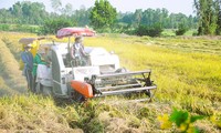 25- 30% tổng lượng khí thải ở Việt Nam từ sản xuất nông nghiệp 