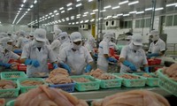 3 lý do khiến cá tra Việt Nam xuất khẩu sang Mỹ tăng vọt