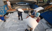 Doanh nghiệp bên bờ vực phá sản kêu cứu cho xuất khẩu gạo nếp