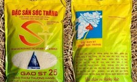 Gạo ST25 ngon nhất Việt Nam đạt ‘Á quân’ gạo ngon thế giới