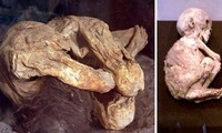Hai xác ướp cổ xưa bí ẩn được phát hiện trong thùng carton bên trong một nhà xe ở California.