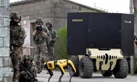 Chó robot được huấn luyện chiến đấu cùng với học viên quân sự Pháp.