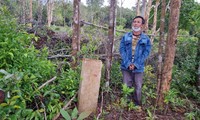 Khởi tố 7 đối tượng phá 35.000 m2 rừng bao ở Phú Quốc