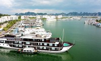 Quảng Ninh không cấp phép hoạt động cho hơn 170 tàu du lịch