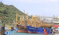 Nhiều tàu vỏ thép đóng mới theo Nghị định 67 ở tỉnh Bình Định từng là ước mơ, kỳ vọng đổi đời của ngư dân nhưng hiện tại trở thành gánh nặng nợ nần Ảnh: Trương Định