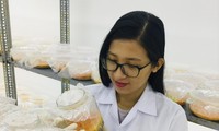 Chị Nguyễn Thị Lý trong phòng nghiên cứu nấm đông trùng hạ thảo 