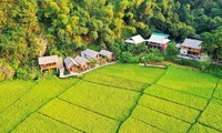 Top 10 thành phố hiếu khách nhất Việt Nam: Bạn có đoán được vị trí &quot;đầu bảng&quot;?