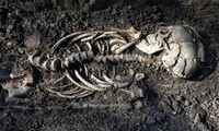 Cận cảnh một bộ xương được bảo quản khá tốt hơn 1.000 năm trước.