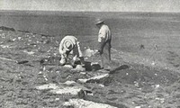 Tìm lại được “kho báu” hóa thạch mất tích sau 70 năm 