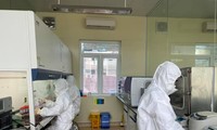 Cán bộ Trung tâm Kiểm soát dịch bệnh Quảng Ninh xét nghiệm mẫu bệnh phẩm tìm virus SARS-CoV-2. Ảnh: Thuận Phương