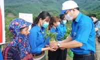 Tuổi trẻ TT-Huế: Tặng 7 vạn cây trồng, hành động &apos;Vì một Việt Nam xanh&apos;