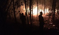 Cháy dữ dội tại khu vực rừng trồng ven biển xã Bình Hải, huyện Thăng Bình, Quảng Nam.