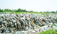 Hàng trăm xác thai nhi bỏ lẫn trong rác thải: Lãnh đạo Cà Mau nói gì?